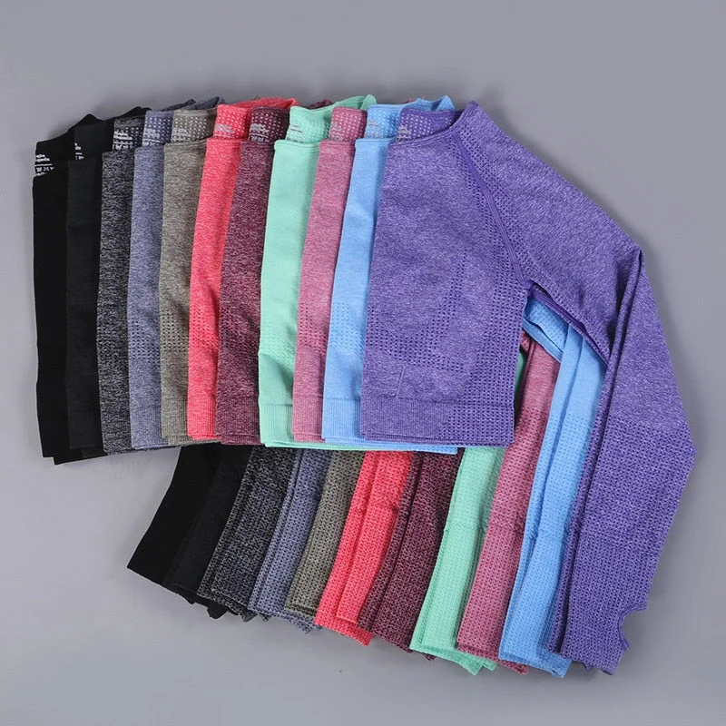 Final Clearance Yoganix New Seamless Yoga Crop Top long Sleeves Shirts for Women