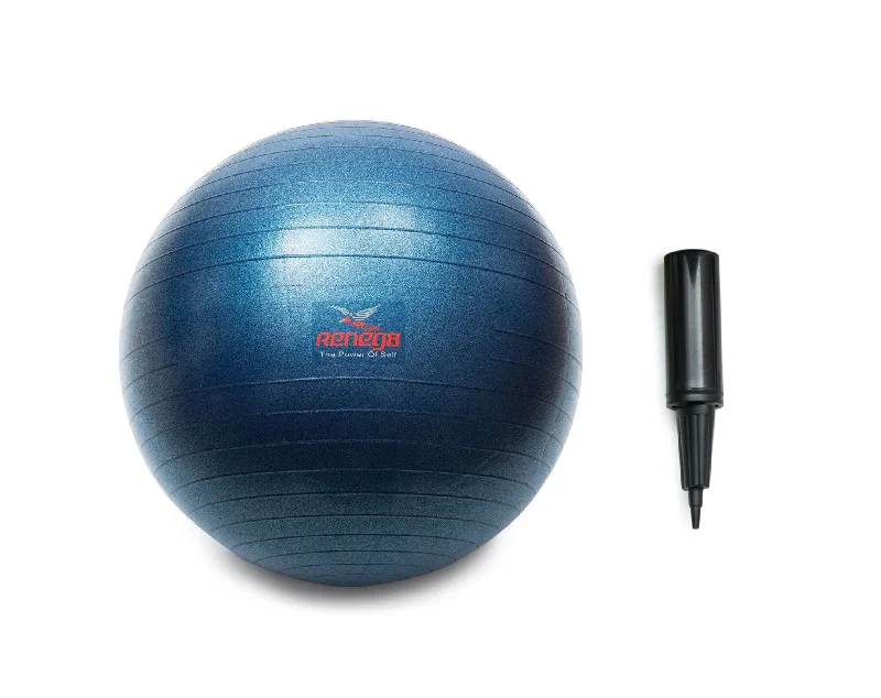 Pay Less Home Gym Workout Stability ball 65 cm Yoga ball Anti-burst With Pump Reneg8 Pay Less Home Gym Workout Stability ball 65 cm Yoga ball Anti-burst With Pump Reneg8