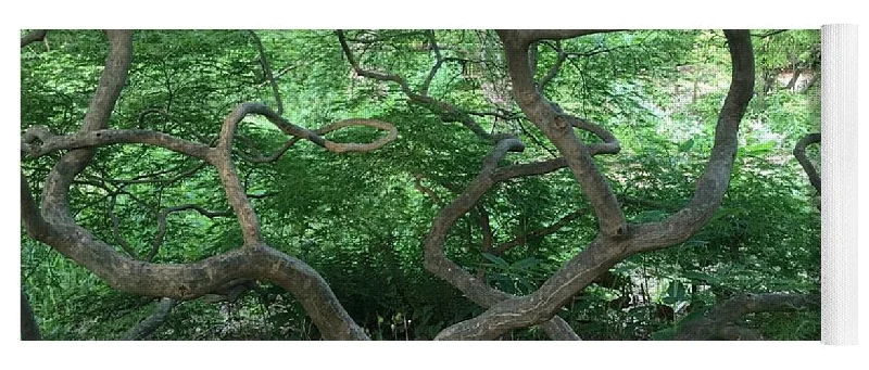 Weekend Discounts to Delight Cascading Japanese Maple - Yoga Mat
