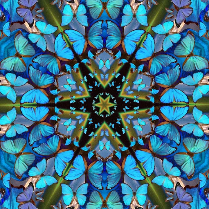 Unmissable Sale DESTINY // Blue Butterfly Mandala Travel + Hot Yoga Mat
