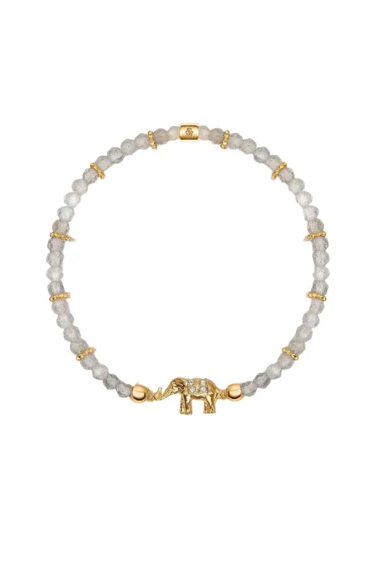 Weekend Specials to Savor Labradorite Elephant Charm Bracelet