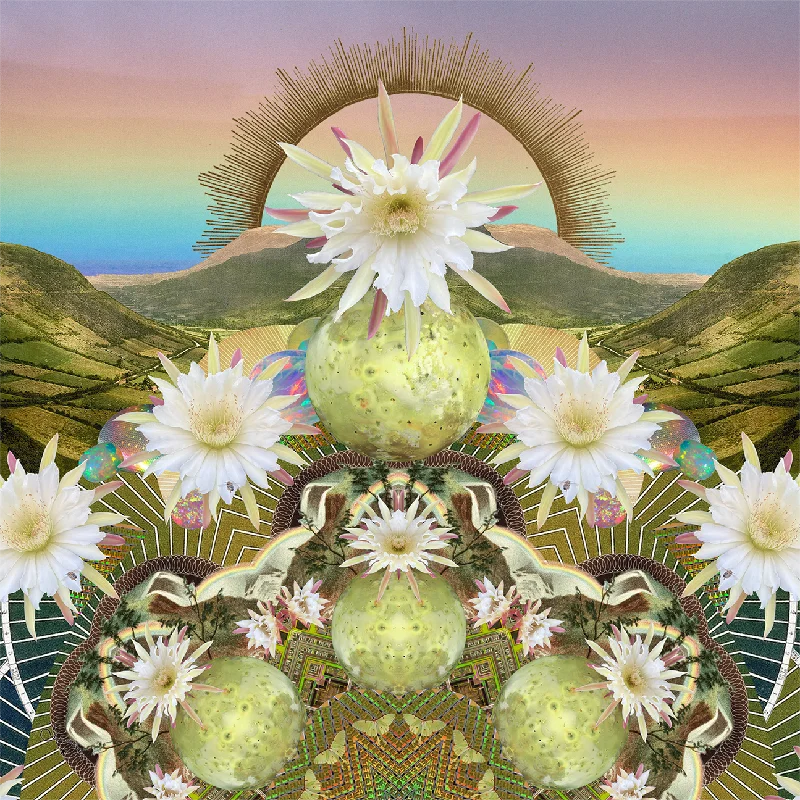 Weekend Specials to Relish FORTUNE FULFILLMENT // Telluric Bloom Yoga Mat